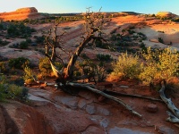 Nrodn park Arches