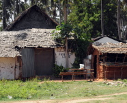 Kea, Tanznie 2010