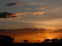 Kea, Tanznie 2010