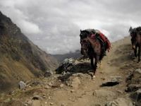 Peru a Bolvie