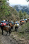 Peru a Bolvie