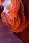 USA Utah, Antilop kaon